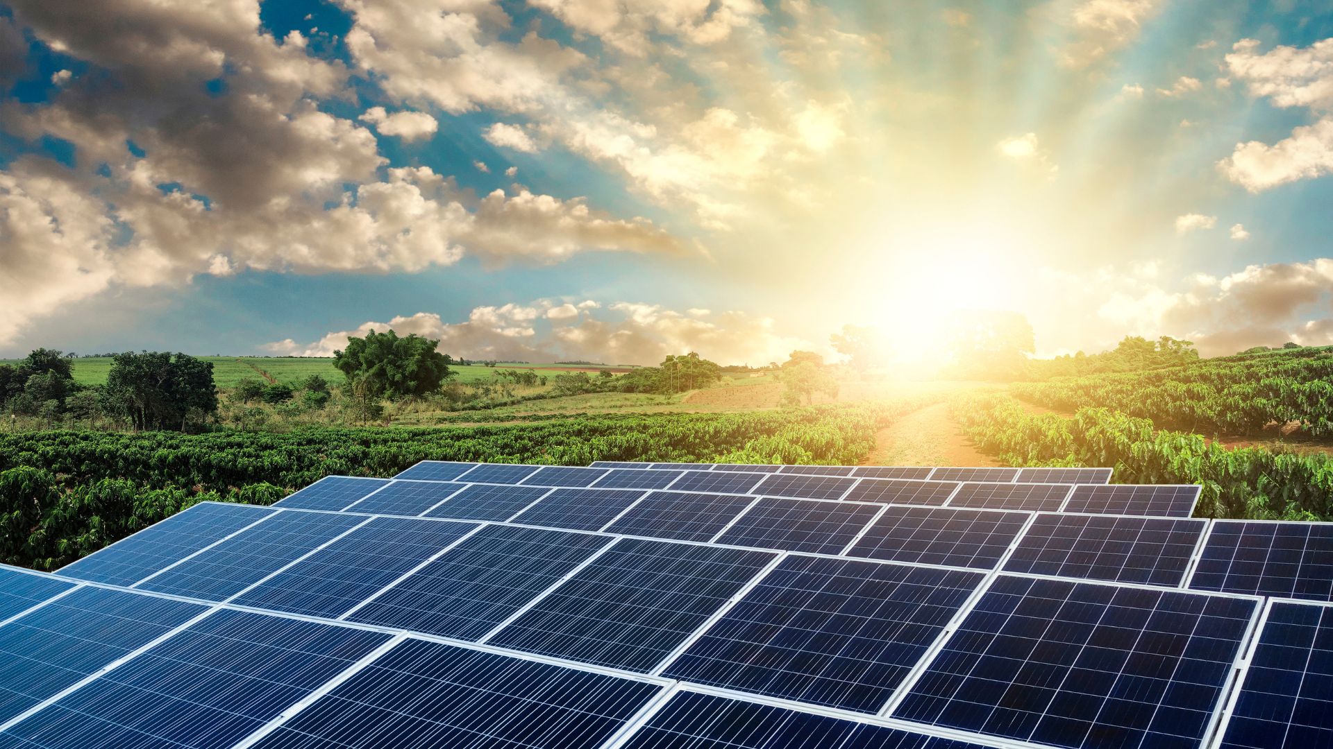 What Is Solar Energy?